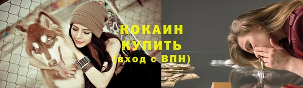 хмурый Алзамай
