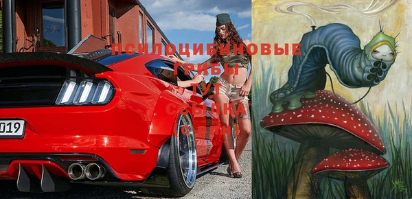 крисы Алексин