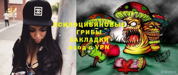 крисы Алексин