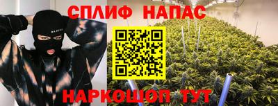 индика Шебекино