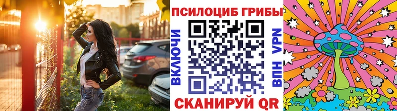 маркетплейс официальный сайт  где продают   Новошахтинск  Галлюциногенные грибы Magic Shrooms  МЕГА зеркало 