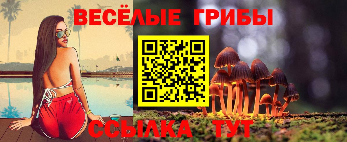 Псилоцибиновые грибы Psilocybe  Вход с VPN  Новошахтинск 