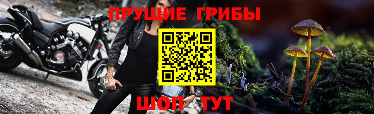 Псилоцибиновые грибы GOLDEN TEACHER Новошахтинск